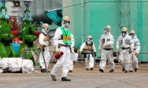Fukushima nel 2011